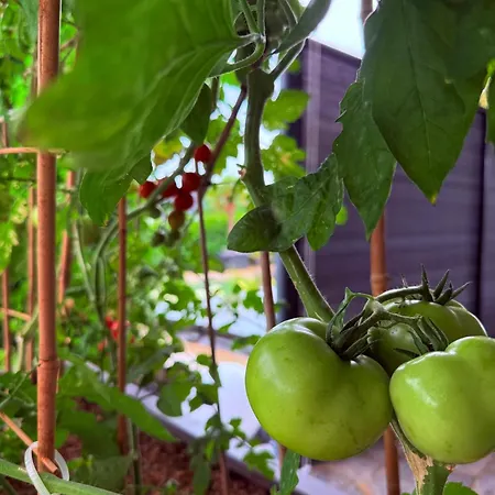 Blaue Lagune-ferien Mit Stil *