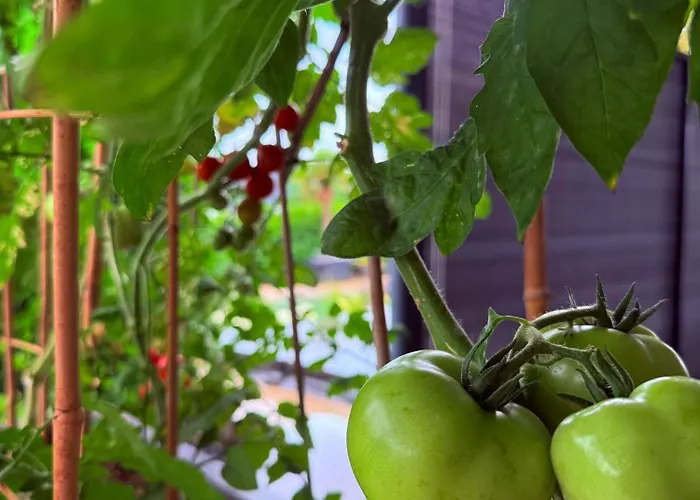 Blaue Lagune-ferien Mit Stil *